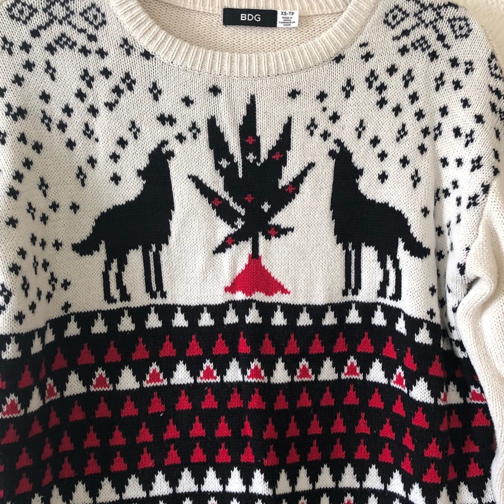 BDG sweater